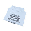My Pet Is My Emotional Support Animal I Am Their Entertainment — Funny Pet Owner Hoodie