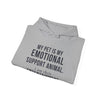 My Pet Is My Emotional Support Animal I Am Their Entertainment — Funny Pet Owner Hoodie