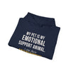 My Pet Is My Emotional Support Animal I Am Their Entertainment — Funny Pet Owner Hoodie